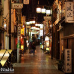 Kehidupan Malam di Jepang: Shinjuku dan Beyond