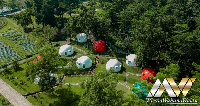 Korea Selatan Pengalaman Glamping Mewah